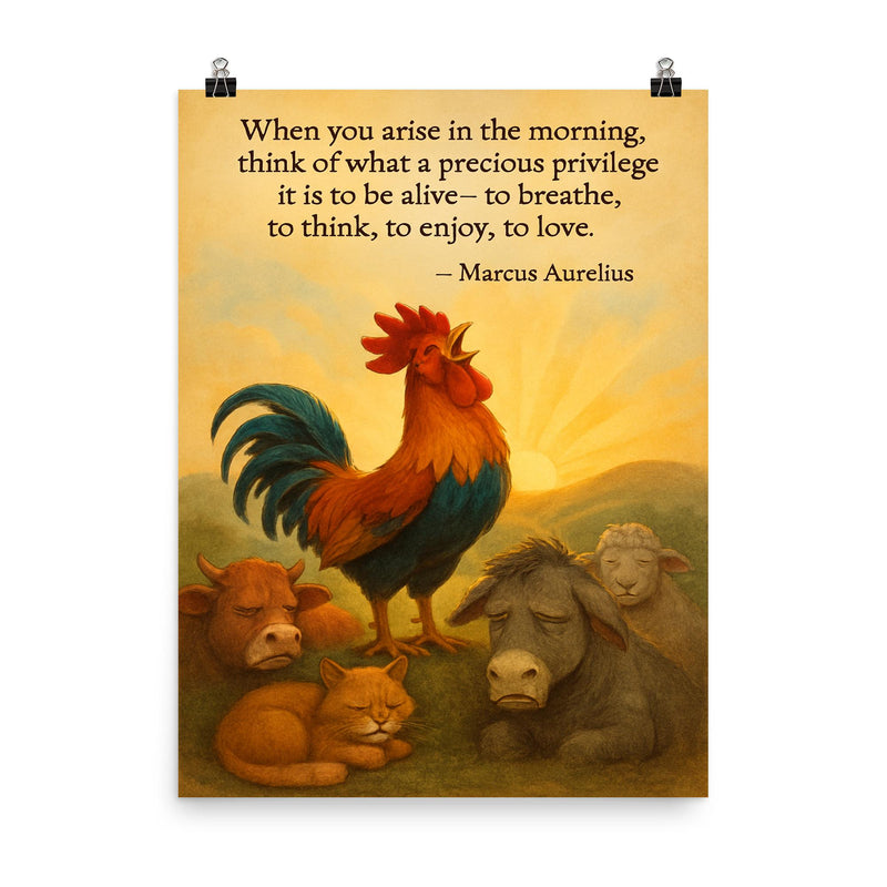 marcus aurelius morning privilege quote rooste poster on a plain backdrop in size 8
