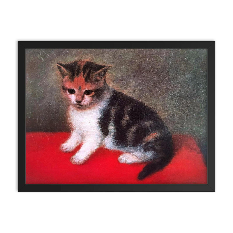 Miss Anne White's Kitten by George Stubbs, 1790 framed print on a plain backdrop in size 18