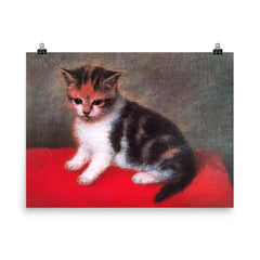 Miss Anne White's Kitten by George Stubbs, 1790 poster on a plain backdrop in size 8"x10".