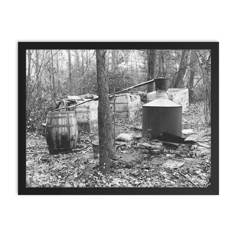 Moonshine still in the woods - A moonshiner's operation discovered by Prohibition Agents in the woods near Rosaryville, Maryland, 1931 framed print on a plain backdrop in size 18