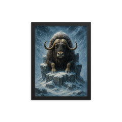 Musk ox patriarch in Arctic blizzard throne framed print on a plain backdrop in size 12"x16".