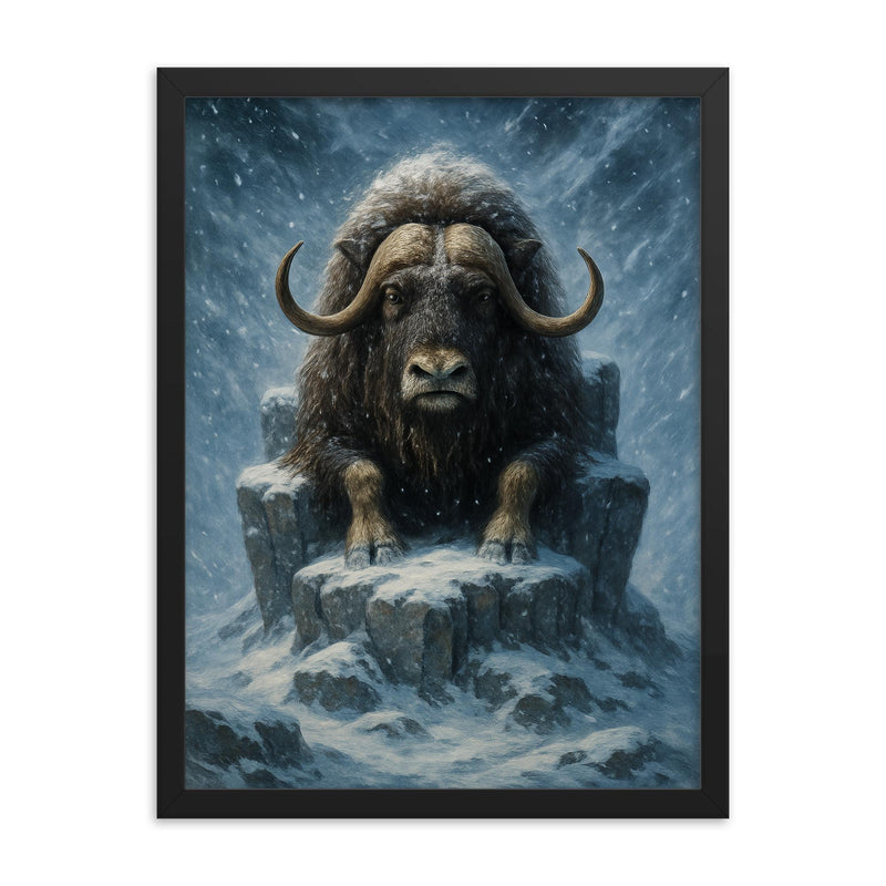 Musk ox patriarch in Arctic blizzard throne framed print on a plain backdrop in size 18