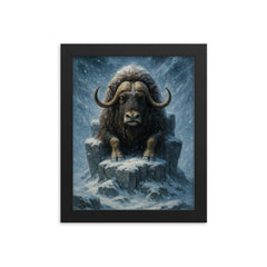Musk ox patriarch in Arctic blizzard throne framed print on a plain backdrop in size 8"x10".
