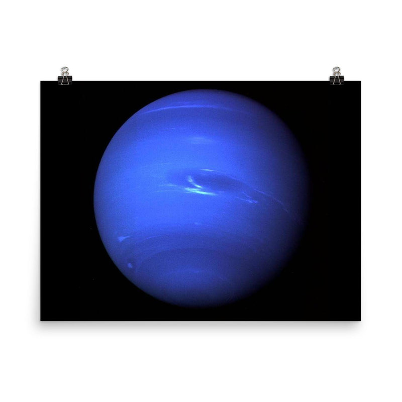 Neptune planet in space poster on a plain backdrop in size 8