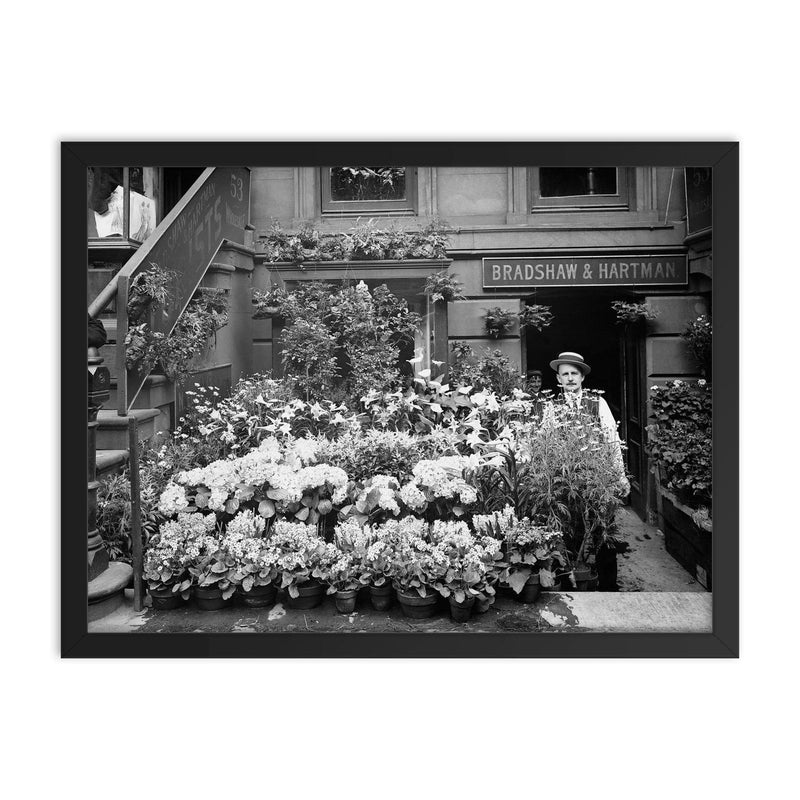 New York City flower shop, 1905 - A florist poses with a display of Easter flowers outside his shop framed print on a plain backdrop in size 18