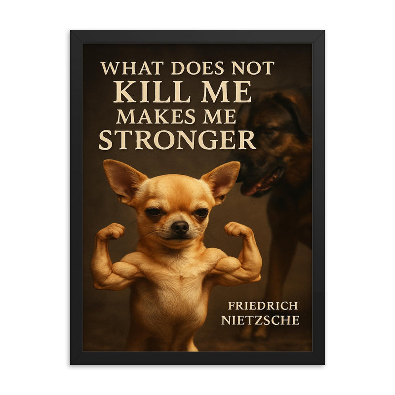 Nietzsche quote what does not kill me makes me stronger tiny chihuahua flexing muscles framed print on a plain backdrop in size 18