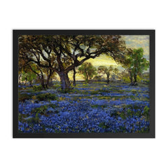 Old Live Oak Tree and Bluebonnets on West Texas Military Grounds, San Antonio by Julian Onderdonk framed print on a plain backdrop in size 18"x24".