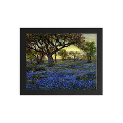 Old Live Oak Tree and Bluebonnets on West Texas Military Grounds, San Antonio by Julian Onderdonk framed print on a plain backdrop in size 8"x10".