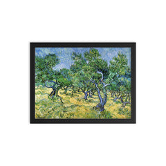 Olive Grove by Vincent van Gogh, 1889 framed print on a plain backdrop in size 12"x16".