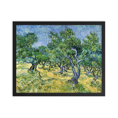 Olive Grove by Vincent van Gogh, 1889 framed print on a plain backdrop in size 16"x20".