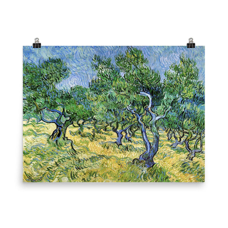 Olive Grove by Vincent van Gogh, 1889 poster on a plain backdrop in size 8