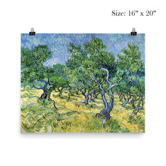 Olive Grove by Vincent van Gogh, 1889 poster 2