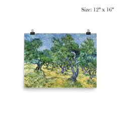 Olive Grove by Vincent van Gogh, 1889 poster 3