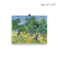 Olive Grove by Vincent van Gogh, 1889 poster 4