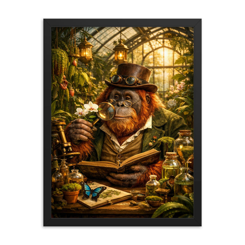 Orangutan botanist in Victorian greenhouse framed print on a plain backdrop in size 18