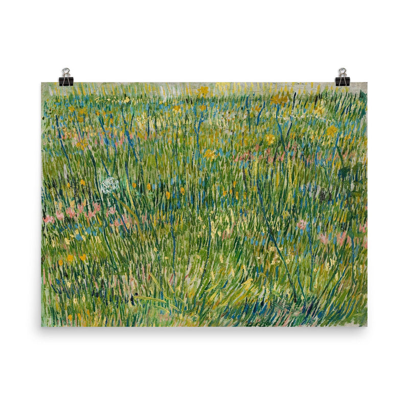Patch of Grass by Vincent van Gogh, 1887 poster on a plain backdrop in size 8
