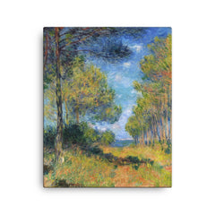 Path at Varengeville by Claude Monet, 1882 canvas print on a plain backdrop in size 16"x20".