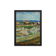 Peach Trees in Bloom by Vincent van Gogh, 1889 framed print on a plain backdrop in size 12"x16".