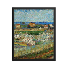 Peach Trees in Bloom by Vincent van Gogh, 1889 framed print on a plain backdrop in size 16"x20".