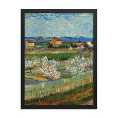 Peach Trees in Bloom by Vincent van Gogh, 1889 framed print on a plain backdrop in size 18"x24".