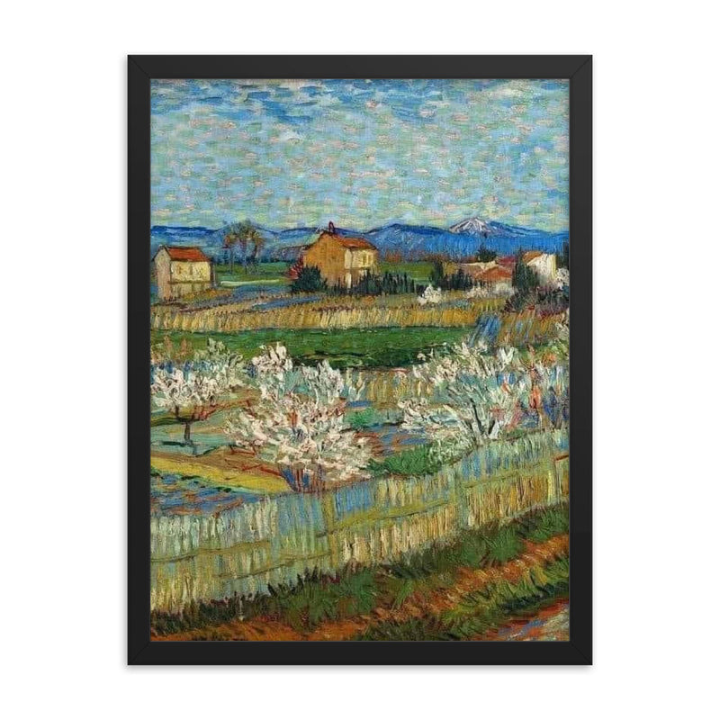 Peach Trees in Bloom by Vincent van Gogh, 1889 framed print on a plain backdrop in size 18