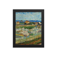 Peach Trees in Bloom by Vincent van Gogh, 1889 framed print on a plain backdrop in size 8"x10".