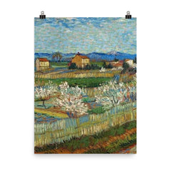 Peach Trees in Bloom by Vincent van Gogh, 1889 poster on a plain backdrop in size 8"x10".