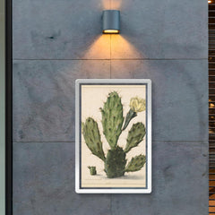 Pear Cactus in Bloom by Herman Saftleven, 1683 poster 2