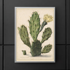 Pear Cactus in Bloom by Herman Saftleven, 1683 poster 5