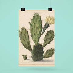 Pear Cactus in Bloom by Herman Saftleven, 1683 poster 6
