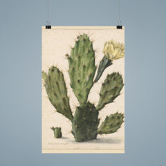 Pear Cactus in Bloom by Herman Saftleven, 1683 poster 9