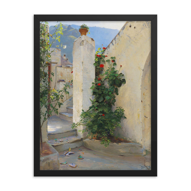 Pelargonium in Bloom by Peter Ilsted, 1891 framed print on a plain backdrop in size 18