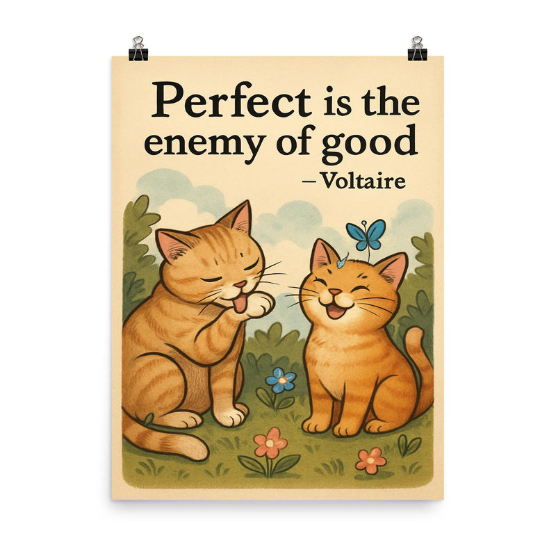 Perfect is the enemy of good Voltaire perfectionist cat grooming good enough cat friends poster on a plain backdrop in size 8