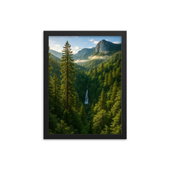 Perucica Primeval Forest Bosnia and Herzegovina framed print on a plain backdrop in size 12"x16".