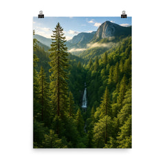 Perucica Primeval Forest Bosnia and Herzegovina poster on a plain backdrop in size 8"x10".