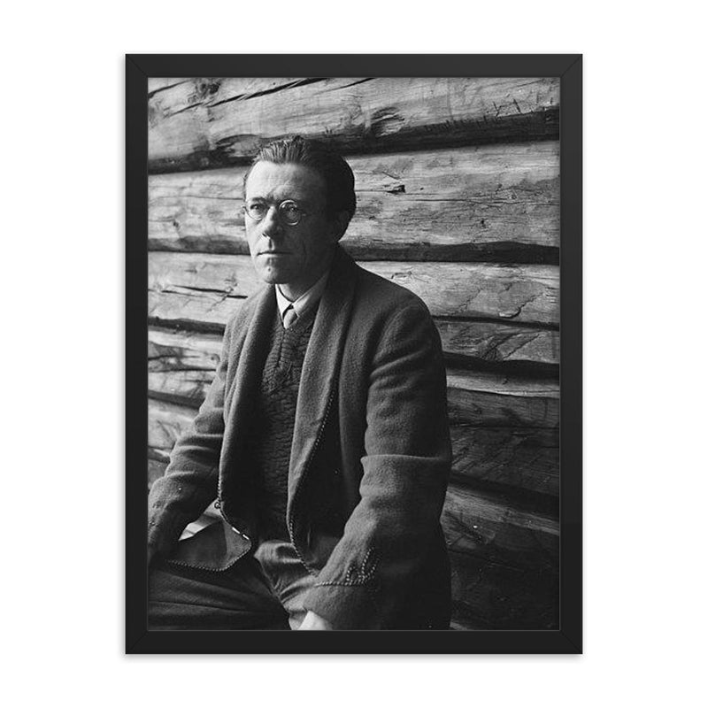 Peter Wessel Zapffe framed print on a plain backdrop in size 18