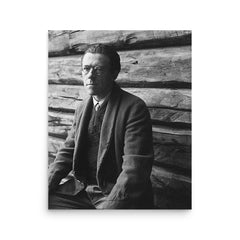 Peter Wessel Zapffe poster on a plain backdrop in size 16"x20".