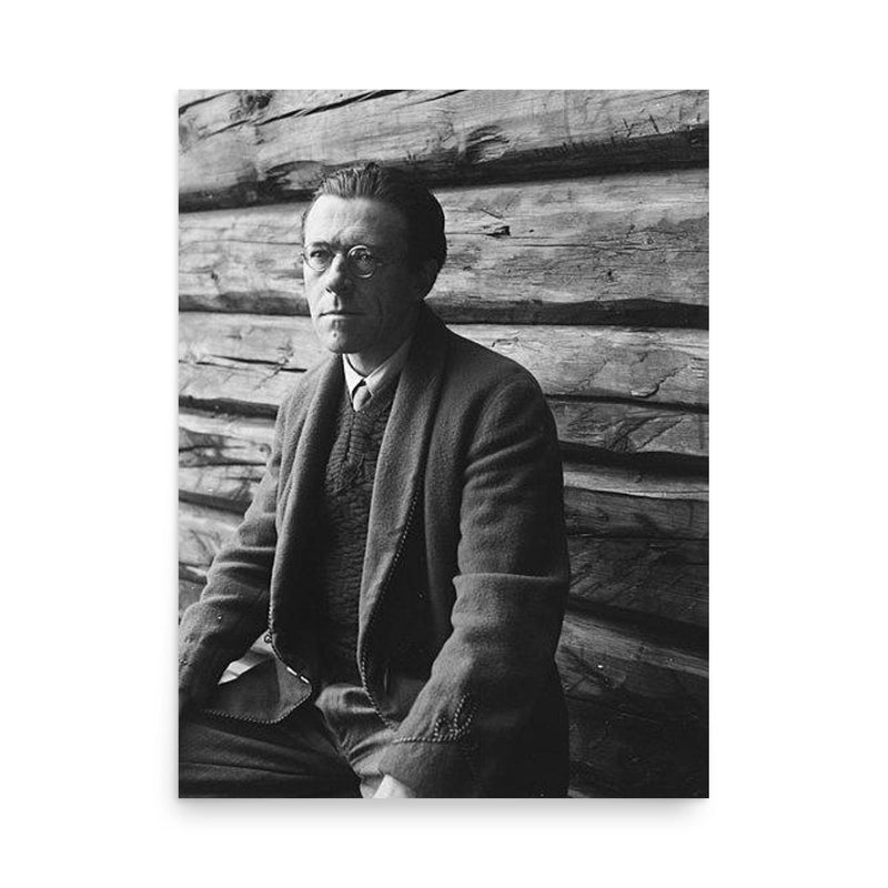 Peter Wessel Zapffe poster on a plain backdrop in size 18