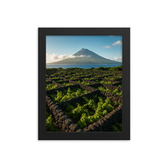 Pico Island Vineyard Walls Currais Azores Portugal framed print on a plain backdrop in size 8"x10".