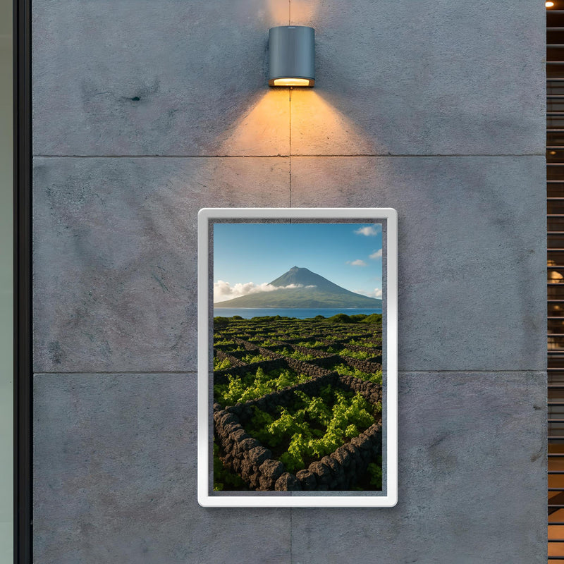 Pico Island Vineyard Walls Currais Azores Portugal poster 2