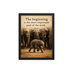 Plato quote baby elephant first step herd watching framed print on a plain backdrop in size 12"x16".
