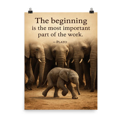 Plato quote baby elephant first step herd watching poster on a plain backdrop in size 8"x10".