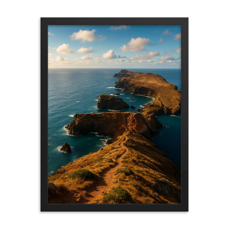 Ponta de Sao Lourenco Madeira Portugal framed print on a plain backdrop in size 18