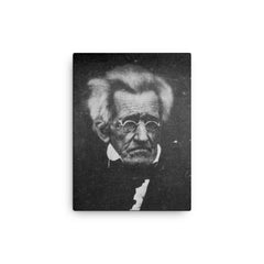 President Andrew Jackson, Age 78, 1844 canvas print on a plain backdrop in size 12"x16".