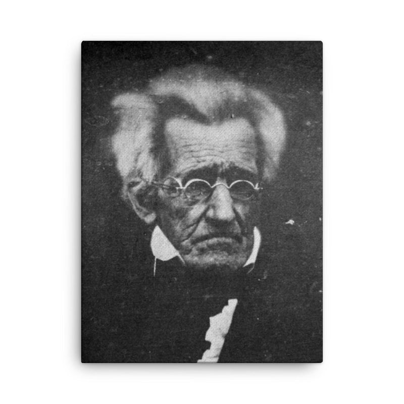 President Andrew Jackson, Age 78, 1844 canvas print on a plain backdrop in size 18