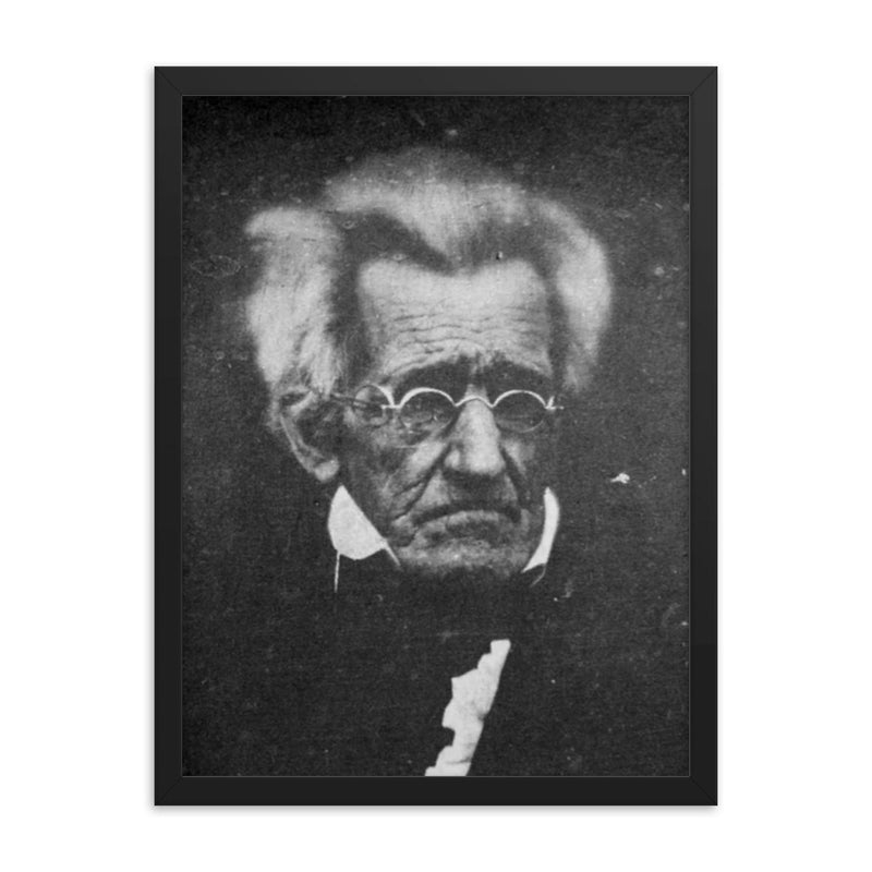 President Andrew Jackson, Age 78, 1844 framed print on a plain backdrop in size 18