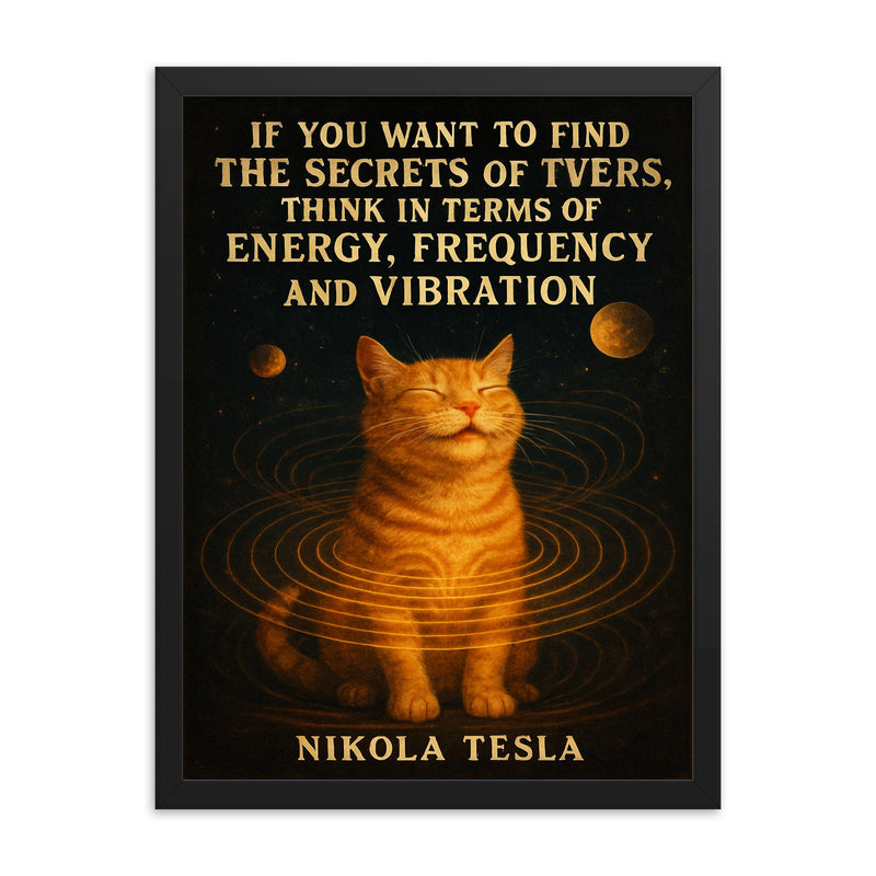 quote secrets of universe energy frequency vibration framed print on a plain backdrop in size 18