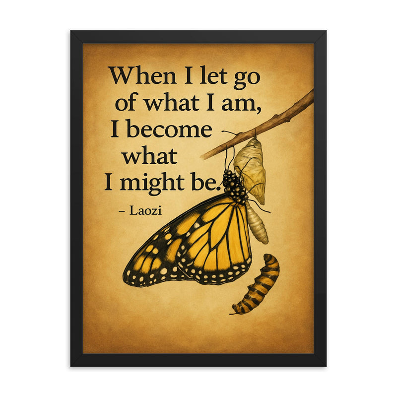 Quote When I let go of what I am I become what I might be Laozi Butterfly emerging from cocoon framed print on a plain backdrop in size 18