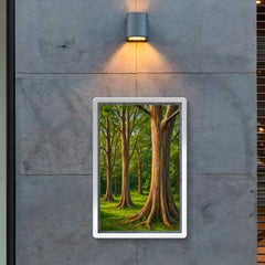 Rainbow Eucalyptus Grove Maui Hawaii USA poster 2