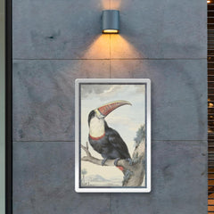 Red-billed Toucan by Aert Schouman, 1748 poster 2